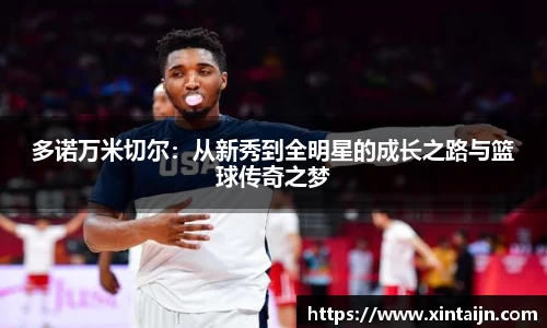 多诺万米切尔：从新秀到全明星的成长之路与篮球传奇之梦